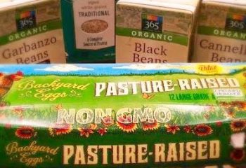 PlantBasedProteins